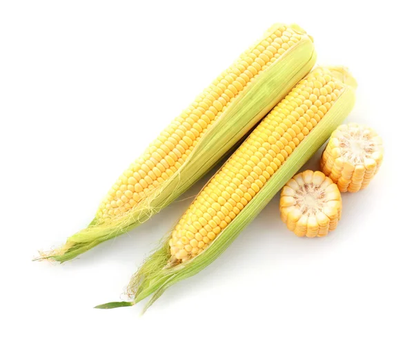 Érett Kukorica Csövek Fehér Háttér — Stock Fotó