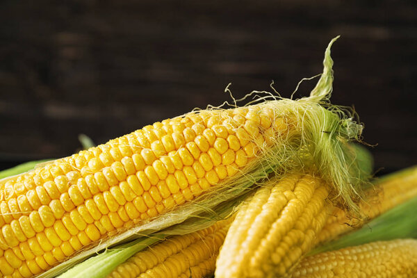 Ripe corn cobs on dark background