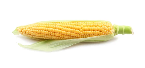 Fresh Corn Cob White Background — Stock Photo, Image