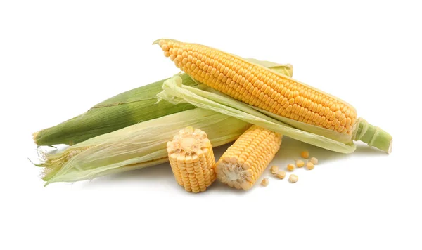 Świeże Kolby Kukurydzy Białym Tle — Zdjęcie stockowe