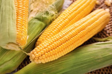 Masada taze mısır koçanları, yakın plan.