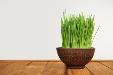 Beyaz arka plan karşı masada filizlenmiş buğday çimen ile kase