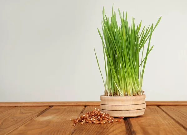 Bowl Sprouted Wheat Grass Table White Background — Stock Photo, Image