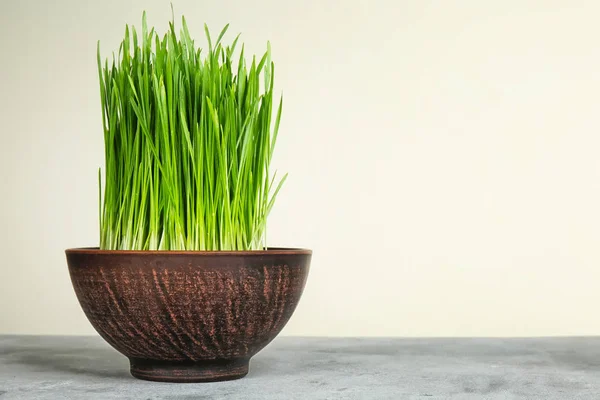 Bowl Sprouted Wheat Grass Table White Background — Stock Photo, Image