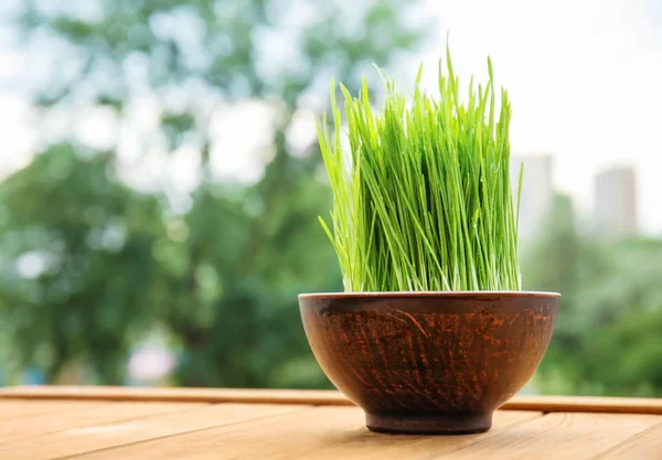 Bowl Sprouted Wheat Grass Table — Stock Photo, Image