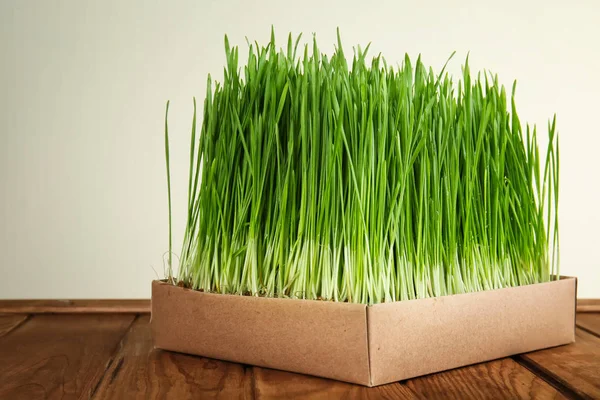 Box Sprouted Wheat Grass Table White Background — Stock Photo, Image