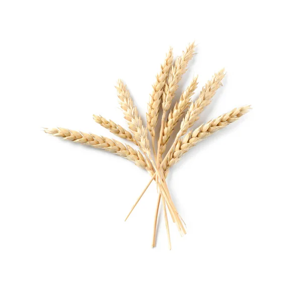 Колючки Пшеницы Белом Фоне — стоковое фото