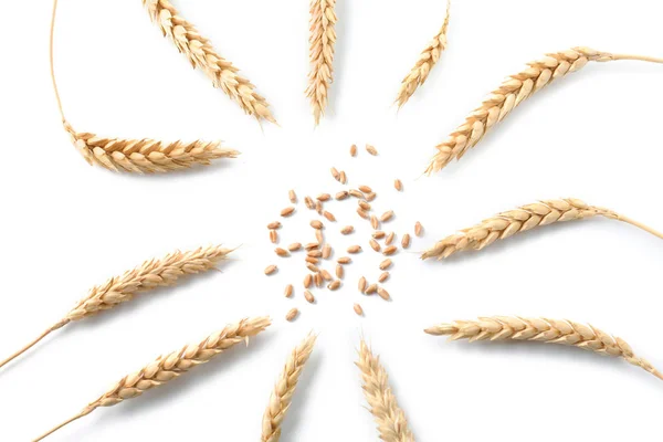 Композиція Пшеничними Колосками Білому Тлі — стокове фото