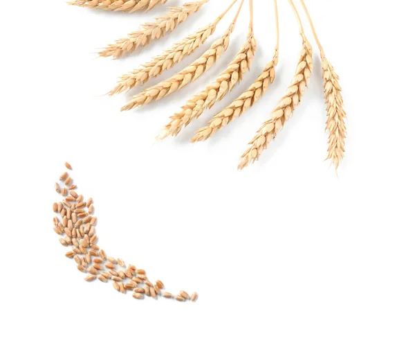 Wheat Spikelets Grains White Background — Stock Photo, Image