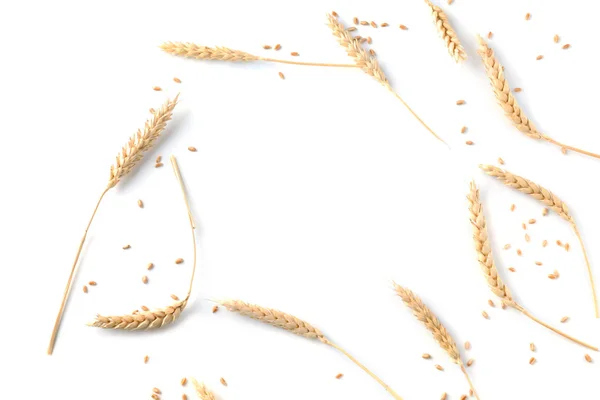 Рамка Пшеничных Шипов Белом Фоне — стоковое фото