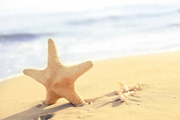 Starfish Sea Beach Resort — Stock Photo, Image