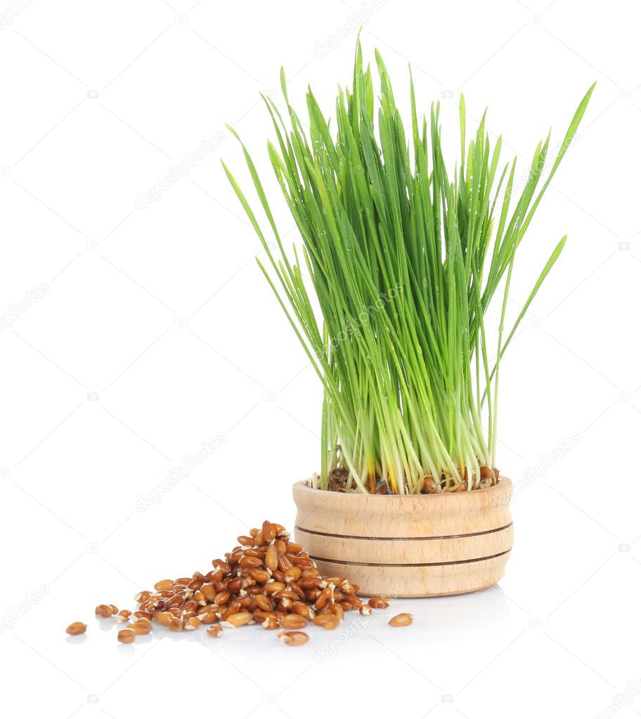 Sprouted wheat grass and seeds on white background