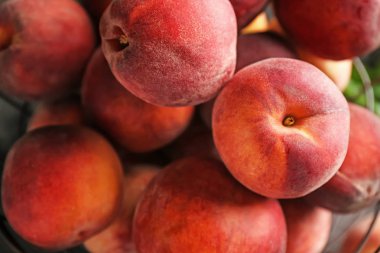 Taze olgun şeftali, portre