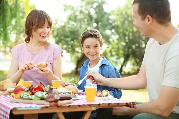 Família Feliz Fazendo Piquenique Dia Verão — Fotografia de Stock