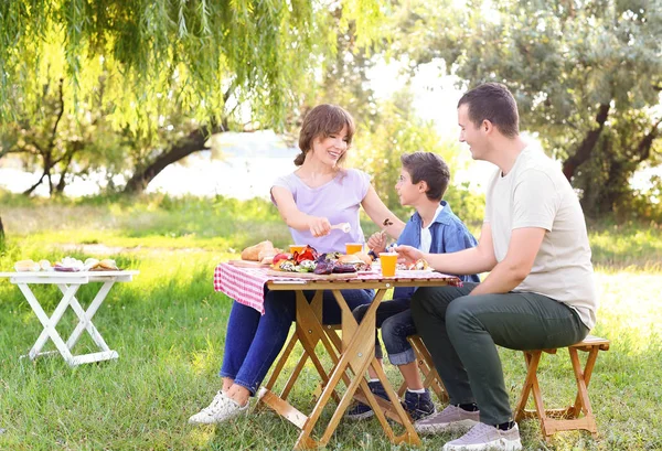 Happy Family Having Picnic Summer Day — Stock Photo, Image