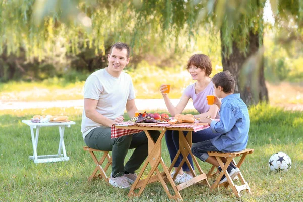 Família Feliz Fazendo Piquenique Dia Verão — Fotografia de Stock