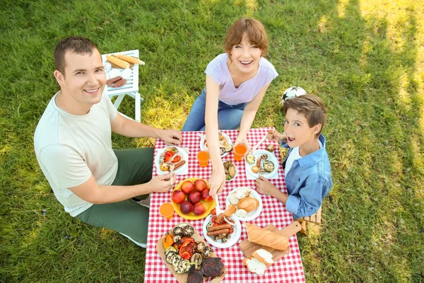 Happy Family Having Picnic Summer Day — Stock Photo, Image