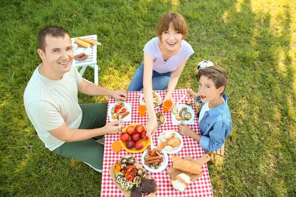 Família Feliz Fazendo Piquenique Dia Verão — Fotografia de Stock