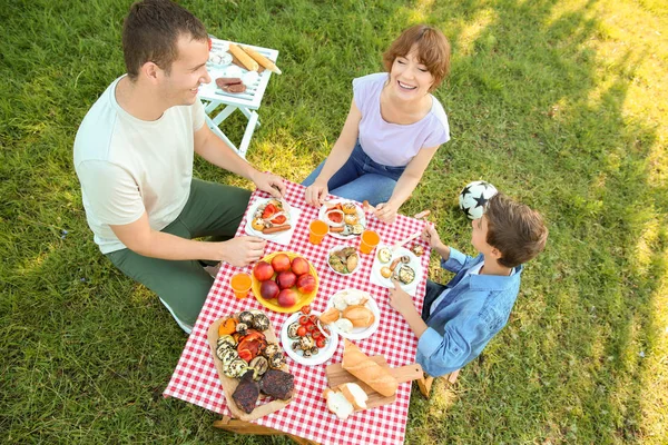 Happy Family Having Picnic Summer Day — Stock Photo, Image