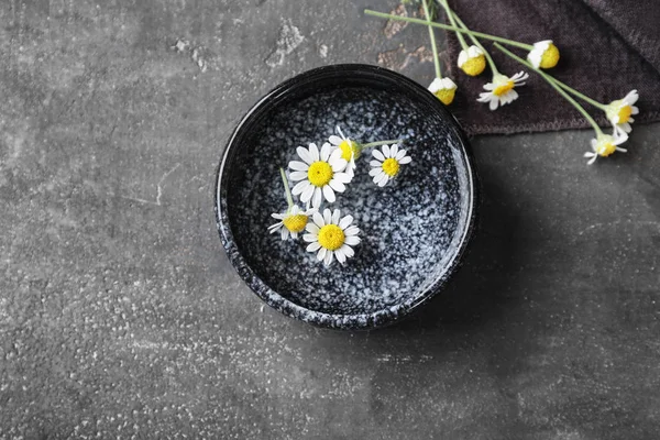 Bowl Beautiful Camomile Flowers Water Grey Table — Stock Photo, Image