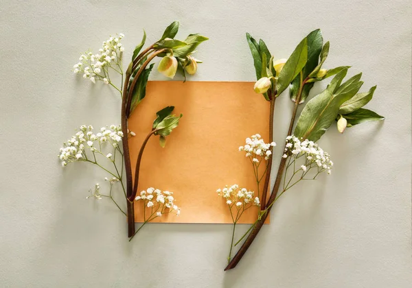 Beautiful Flowers Blank Card Light Background — Stock Photo, Image