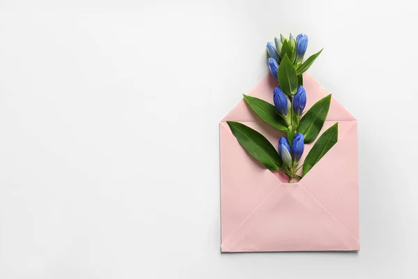 Open Mail Envelop Met Bloemen Witte Achtergrond — Stockfoto