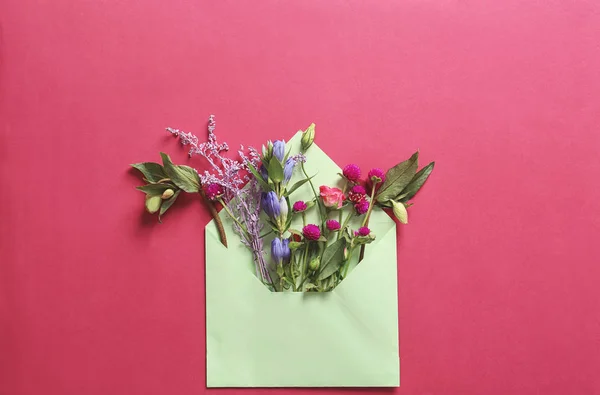 Open mail envelope with flowers on color background