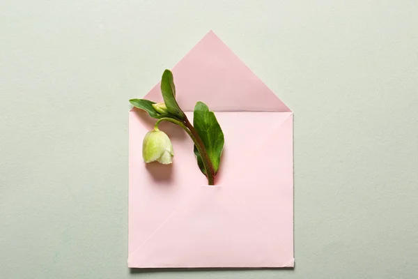 Open Mail Envelope Flowers Light Background — Stock Photo, Image