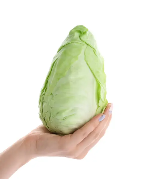 Woman Holding Fresh Pointed Cabbage White Background — Stock Photo, Image