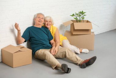 Yeni evlerinde katta oturan kutuları ile mutlu olgun çift
