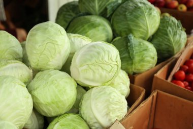 Market karton kutular içinde taze lahana
