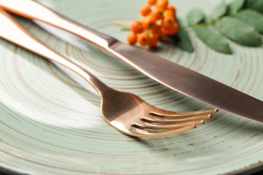 Çatal bıçak takımı, closeup ile plaka