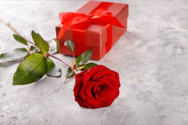 Güzel kırmızı gül ve gri arka plan üzerinde hediye kutusu