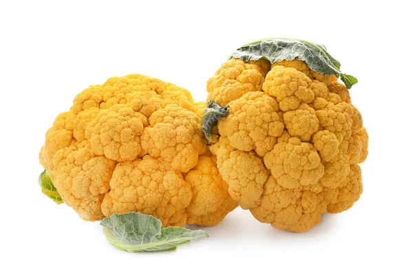 Yellow Cauliflower Cabbage White Background — Stock Photo, Image