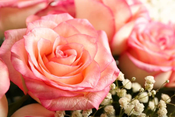 Gyönyörű Rózsaszín Rózsa Vértes — Stock Fotó