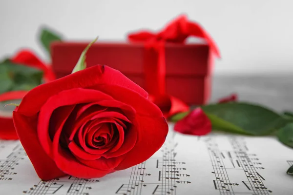Belle Rose Rouge Sur Feuilles Musique Gros Plan — Photo
