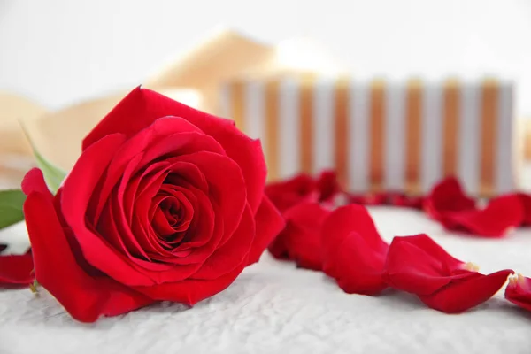 Piękna Czerwona Róża Stół Zbliżenie — Zdjęcie stockowe