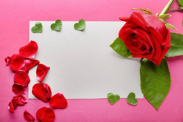 Beautiful Red Rose Card Color Background — Stock Photo, Image