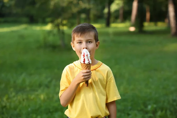 Bonito Menino Comendo Sorvete Parque Dia Verão — Fotografia de Stock