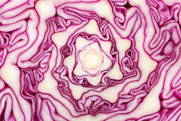 Textur Von Geschnittenem Rotkohl Nahaufnahme — Stockfoto