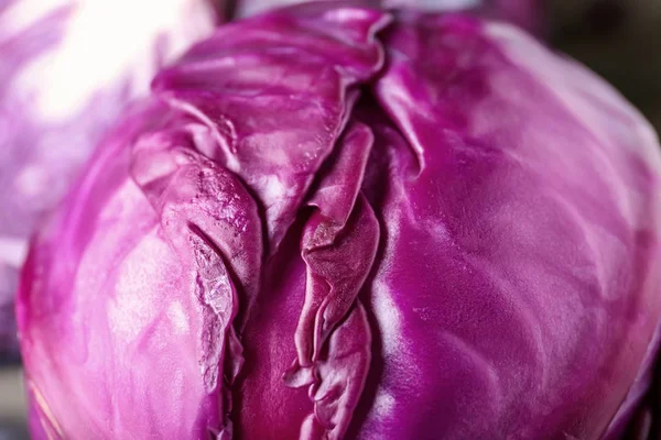 Ripe Red Cabbage Closeup — Stock Photo, Image