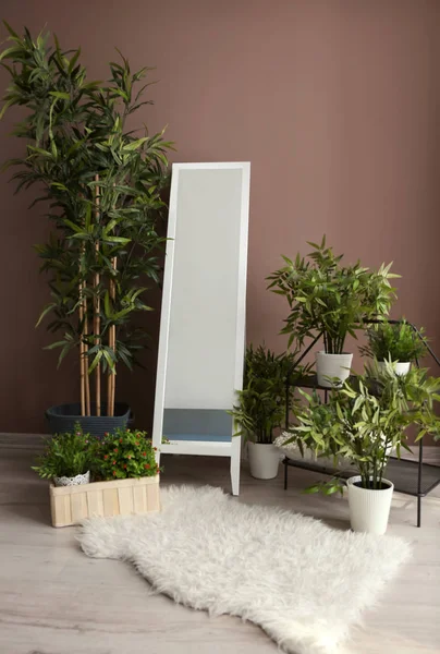 Grand Miroir Élégant Avec Des Plantes Intérieur Vertes Près Mur — Photo