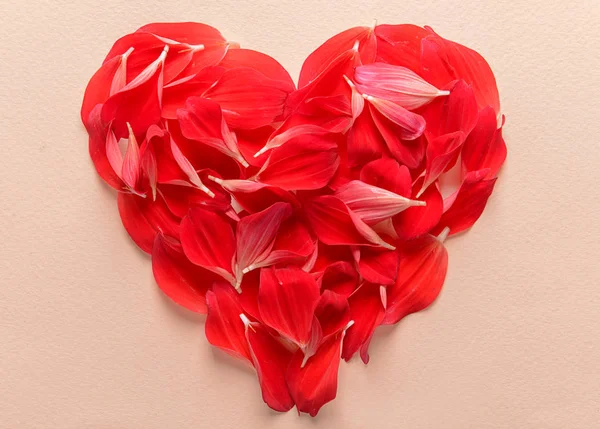 Heart Made Beautiful Flower Petals Light Background — Stock Photo, Image