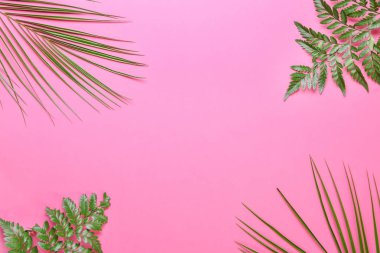 Renkli arkaplanda taze tropikal yapraklar