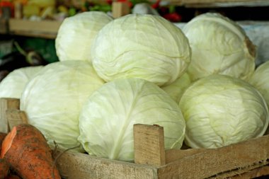 Ahşap kutusunda markette taze lahana