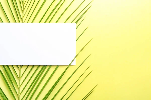 Tropical palm leaf and blank card on color background