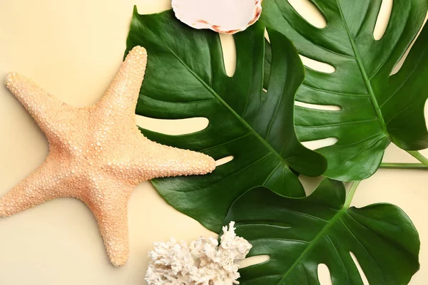 Summer Composition Fresh Monstera Leaves Starfish Light Background — Stock Photo, Image