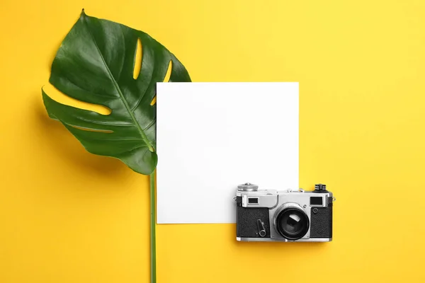 Fresh Monstera Leaf Camera Blank Card Color Background — Stock Photo, Image