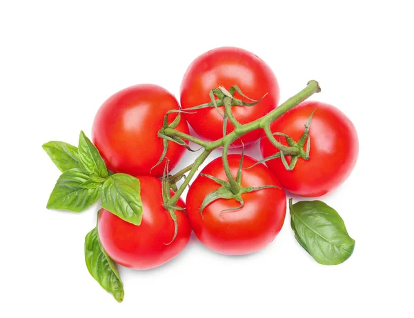 Tomates Deliciosos Manjericão Fresco Sobre Fundo Branco — Fotografia de Stock