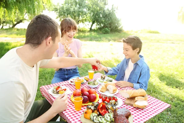 Happy Family Having Picnic Summer Day — Stock Photo, Image